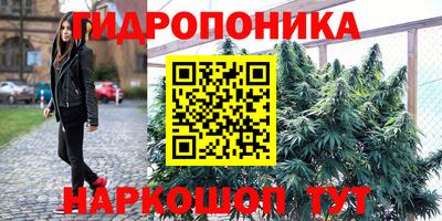 apvp Краснокаменск