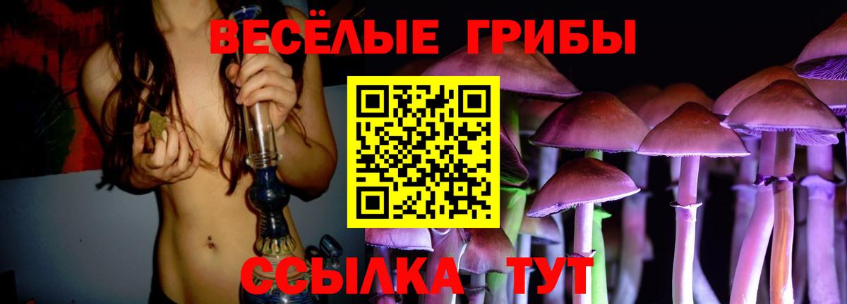 Иваново  Галлюциногенные грибы Psilocybine cubensis  Вход с VPN  Галлюциногенные грибы Magic Shrooms 