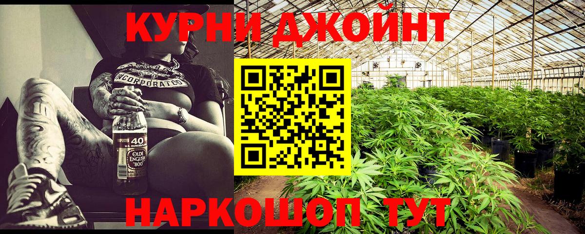 Каннабис OG Kush Иваново